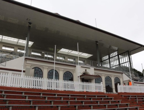 Museum Stand – Basin Reserve