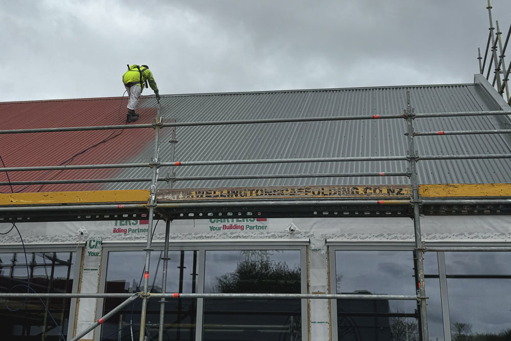 roof-painting-img